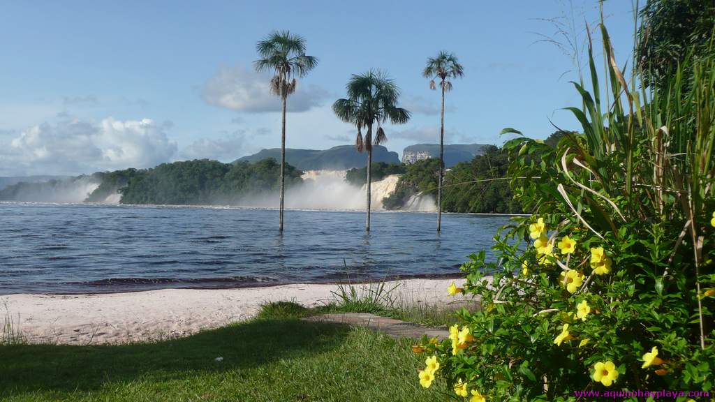 2010_07_08-VENEZUELA-091-Canaima.jpg