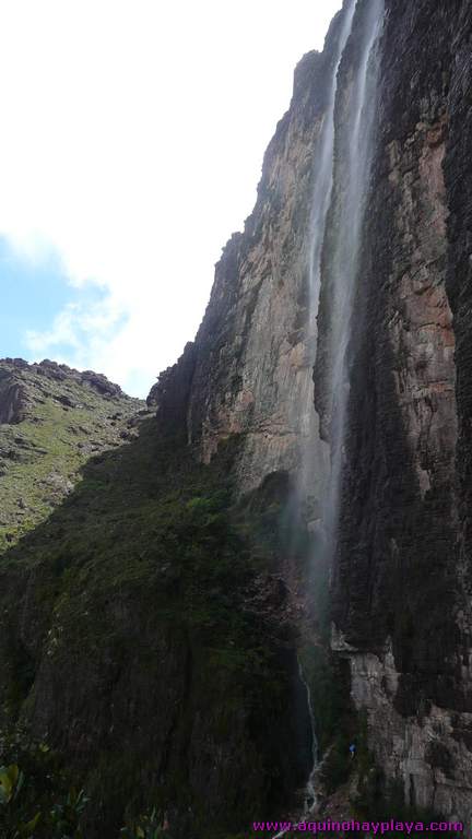 2010_07_08-VENEZUELA-148-Roraima.jpg