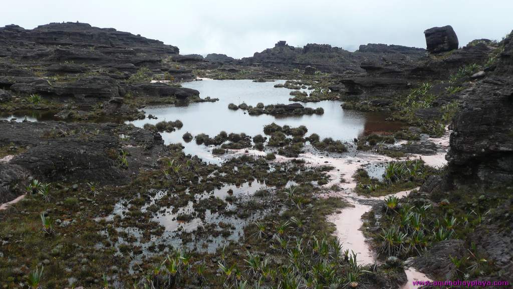 2010_07_08-VENEZUELA-160-Roraima.jpg