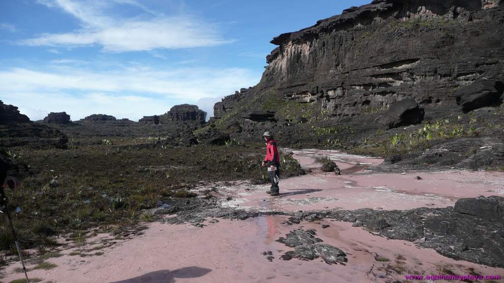 2010_07_08-VENEZUELA-189-Roraima.jpg