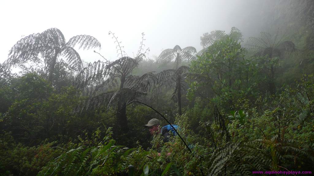 2010_07_08-VENEZUELA-194-Roraima.jpg