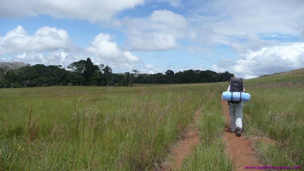 2010_07_08-VENEZUELA-203-Roraima.jpg