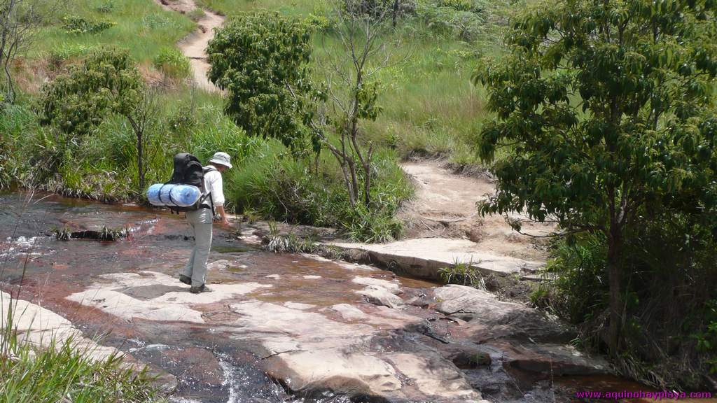 2010_07_08-VENEZUELA-207-Roraima.jpg