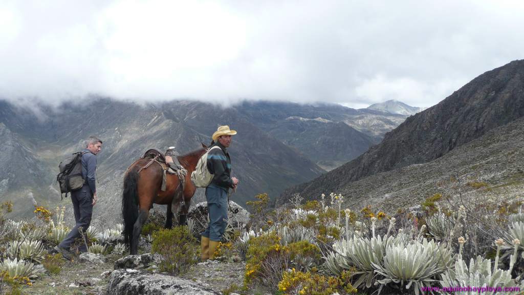 2010_07_08-VENEZUELA-236-TrekMucuposadas.jpg