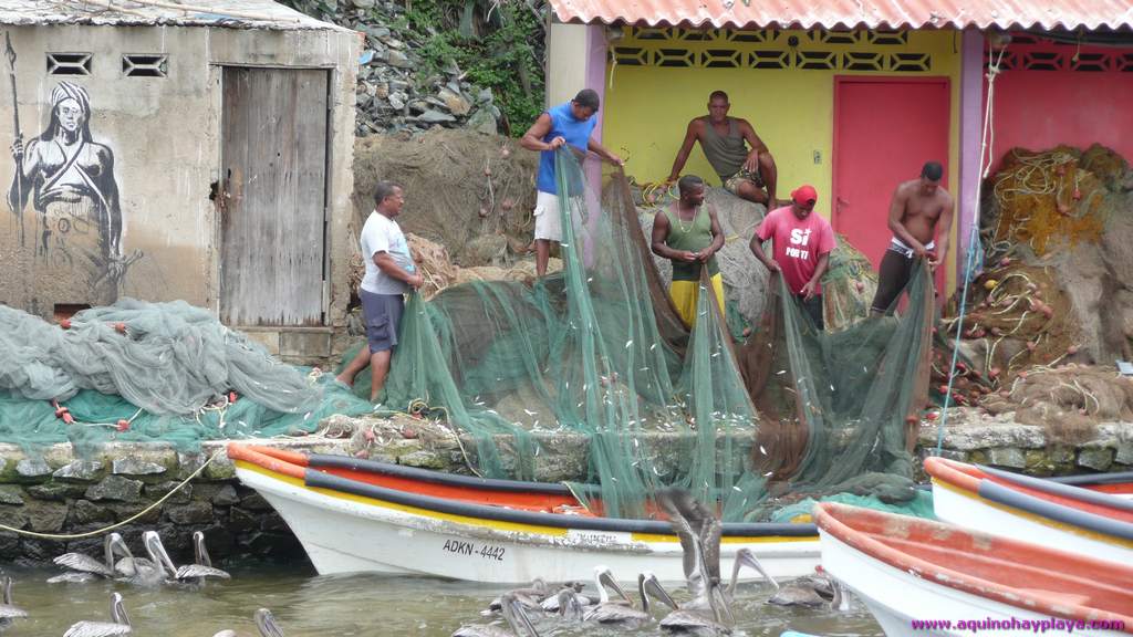 2010_07_08-VENEZUELA-270-Choroni.jpg