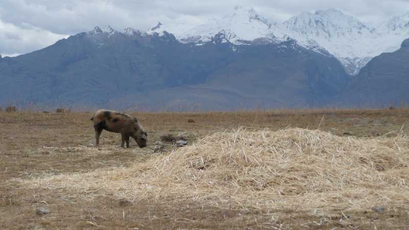 2009_07_03-PERU-009-Huaraz.jpg