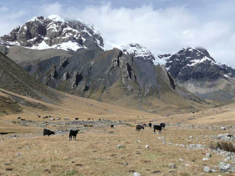 2009_07_13-PERU-170-TrekHuayhuash-d9.jpg