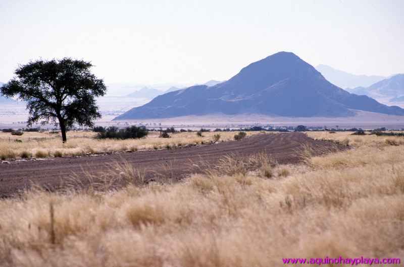 2000.07.01-Safariaustral_016-desiertoNamib.jpg