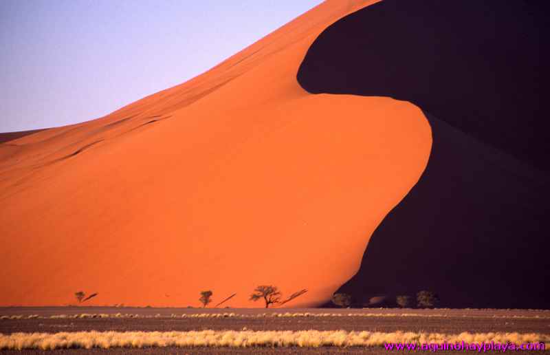 2000.07.01-Safariaustral_024-desiertoSossuvlei.jpg