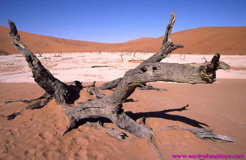 2000.07.01-Safariaustral_031-desiertoSossuvlei.jpg