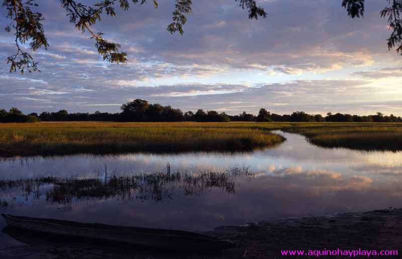 2000.07.01-Safariaustral_064-deltaokavango.jpg