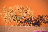 2000.07.01-Safariaustral_025-desiertoSossuvlei.jpg