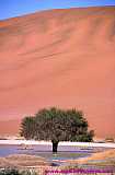 2000.07.01-Safariaustral_035-desiertoSossuvlei.jpg